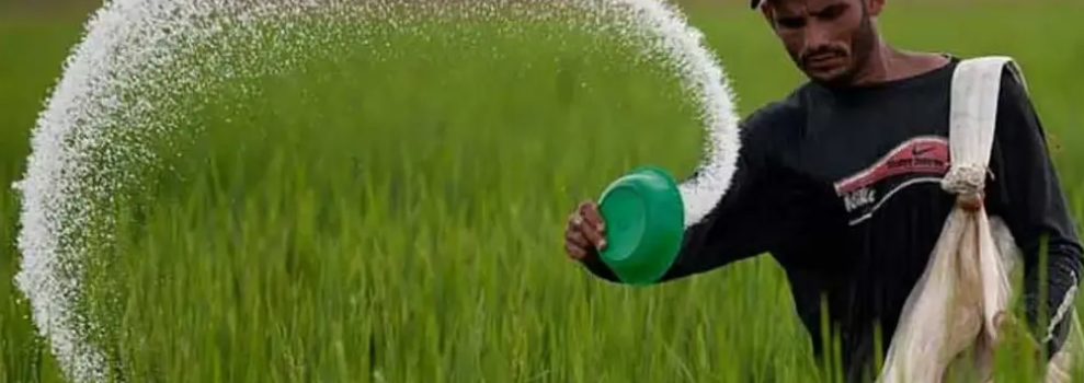 Fertilizer Subsidy Increase